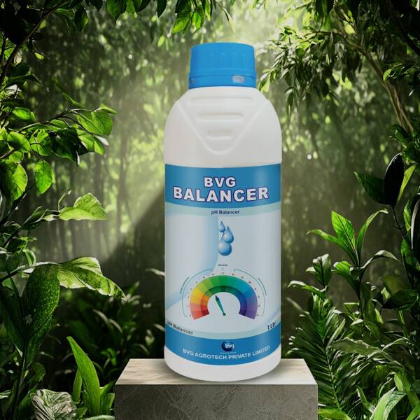 BVG Balancer