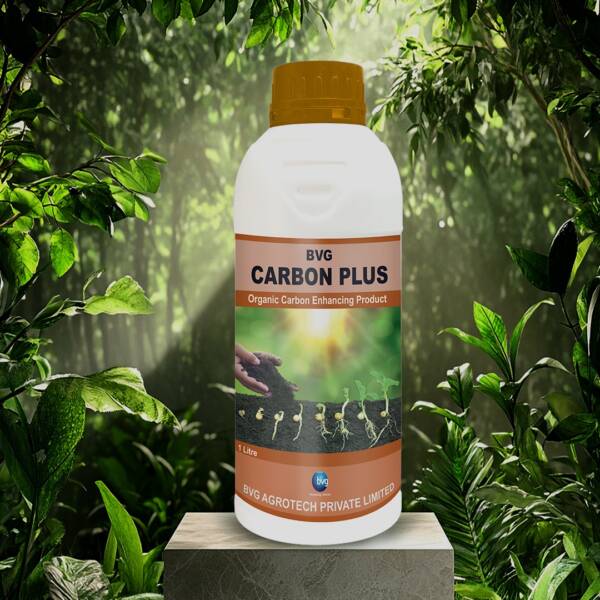 BVG Carbon Plus