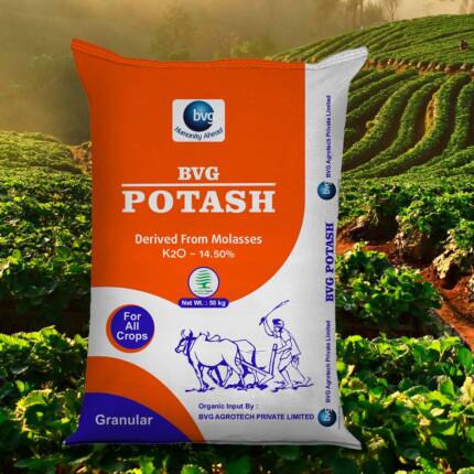 BVG Potash