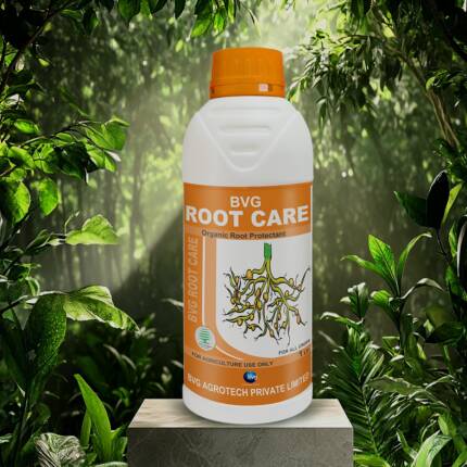 BVG Root Care