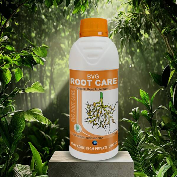 BVG Root Care