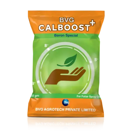 BVG CALBOOST+
