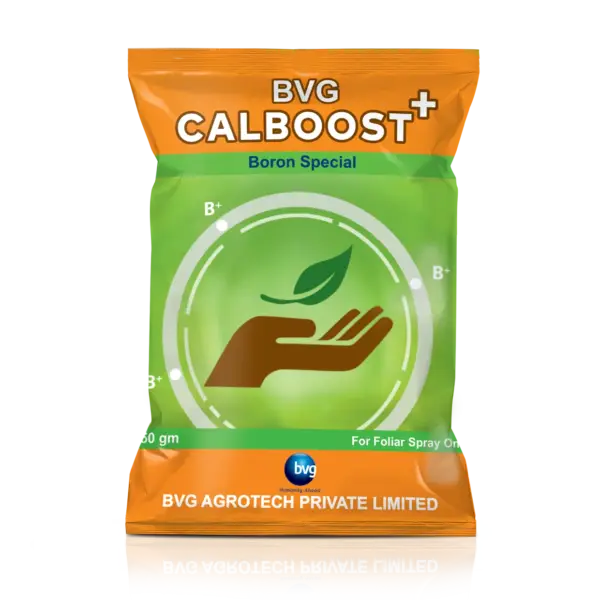 BVG CALBOOST+