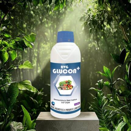 BVG Glucon Plus